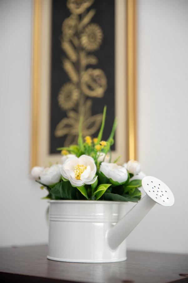 Apartmani Silvana&Vera Senj  Buitenkant foto